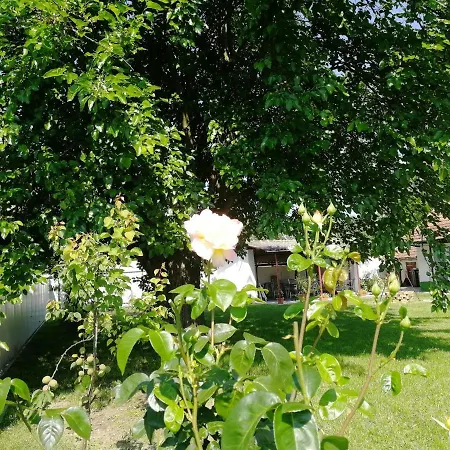 Zsuzsanna Vendeghaz بيت ضيافة Gyomaendrőd