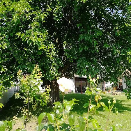 Zsuzsanna Vendégház Gyomaendrőd