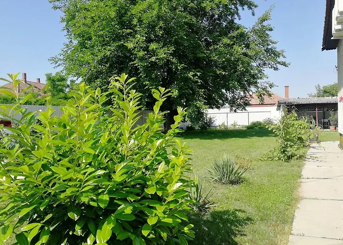 Gasthuis Zsuzsanna Vendeghaz Gyomaendrőd