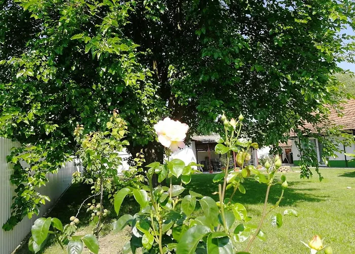 Zsuzsanna Vendeghaz Gasthuis Gyomaendrőd